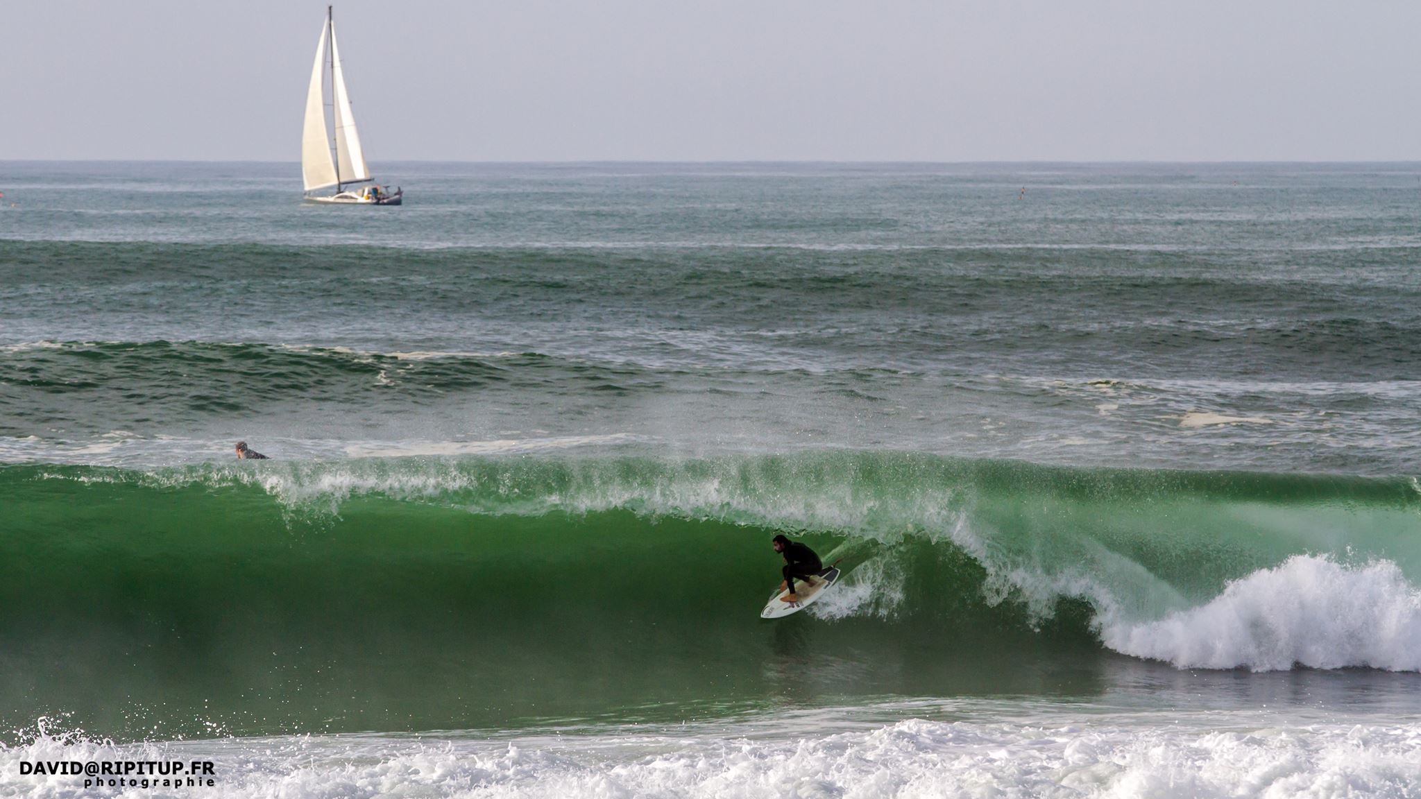 Drainer ou grinder pour Antoine Delpero ?