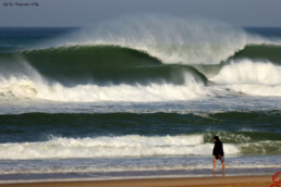 Line-up - Jeff Ruiz