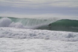 Maxime Perez - Seabass